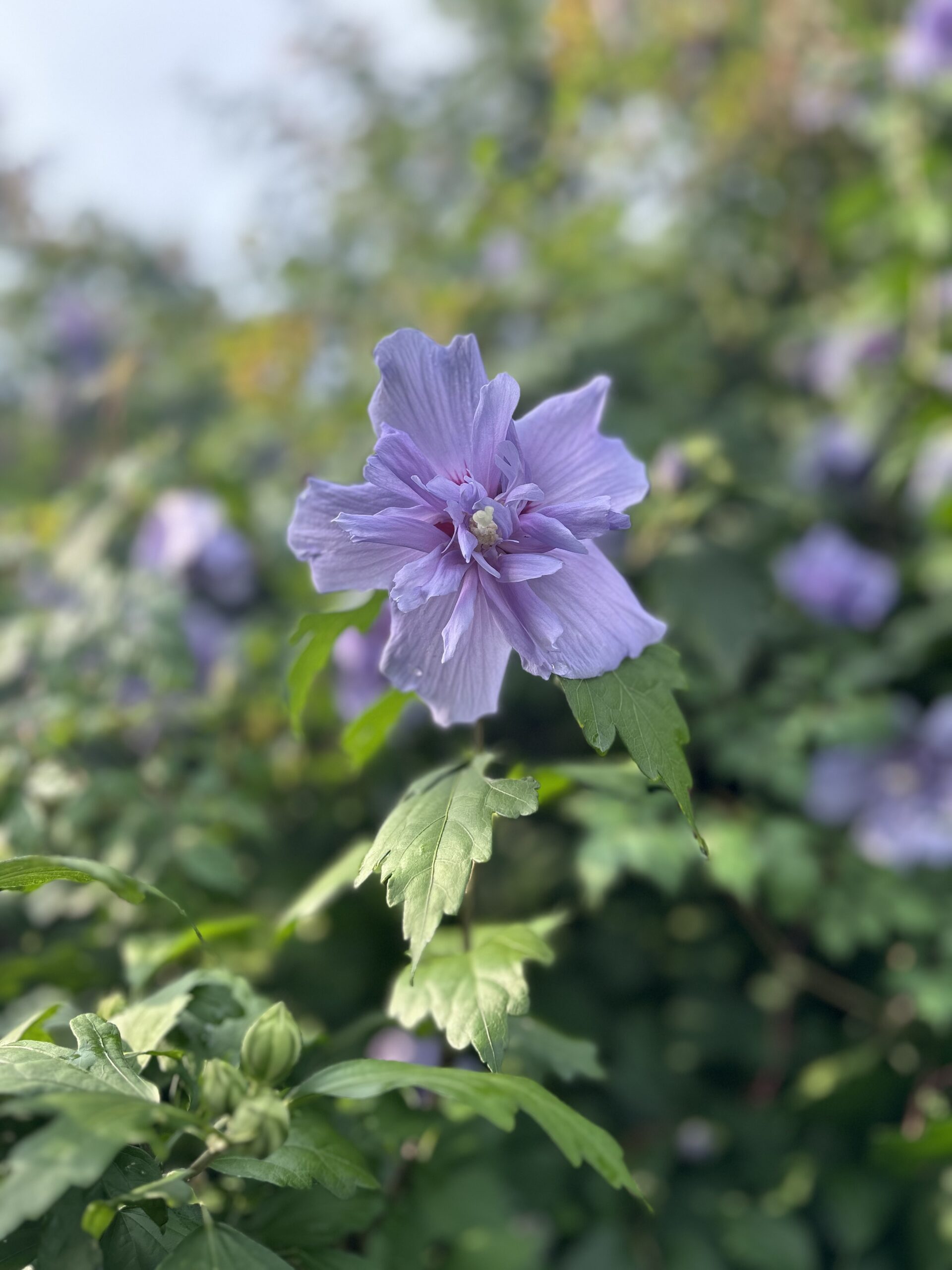 The Art of Drawing Readers In: Your attractive post title goes here IMG 6375 Scaled