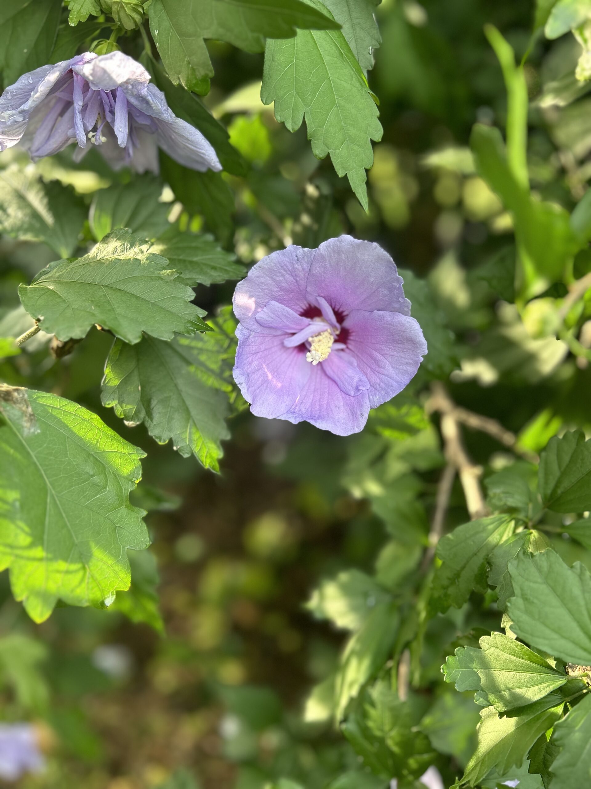 Crafting Captivating Headlines: Your awesome post title goes here IMG 6376 Scaled