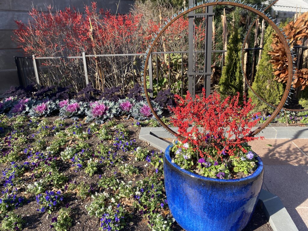 IMG_5597 IMG 5597 1024x768