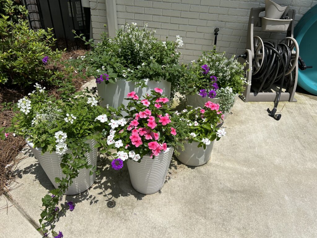 IMG_6368 IMG 6368 1024x768